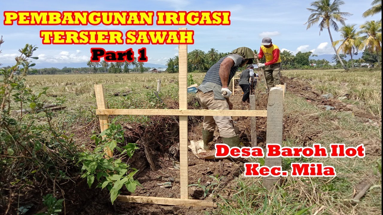 Proses Pembangunan Saluran Irigasi Tersier Sawah | Part 1 Infrastruktur Pertanian Desa