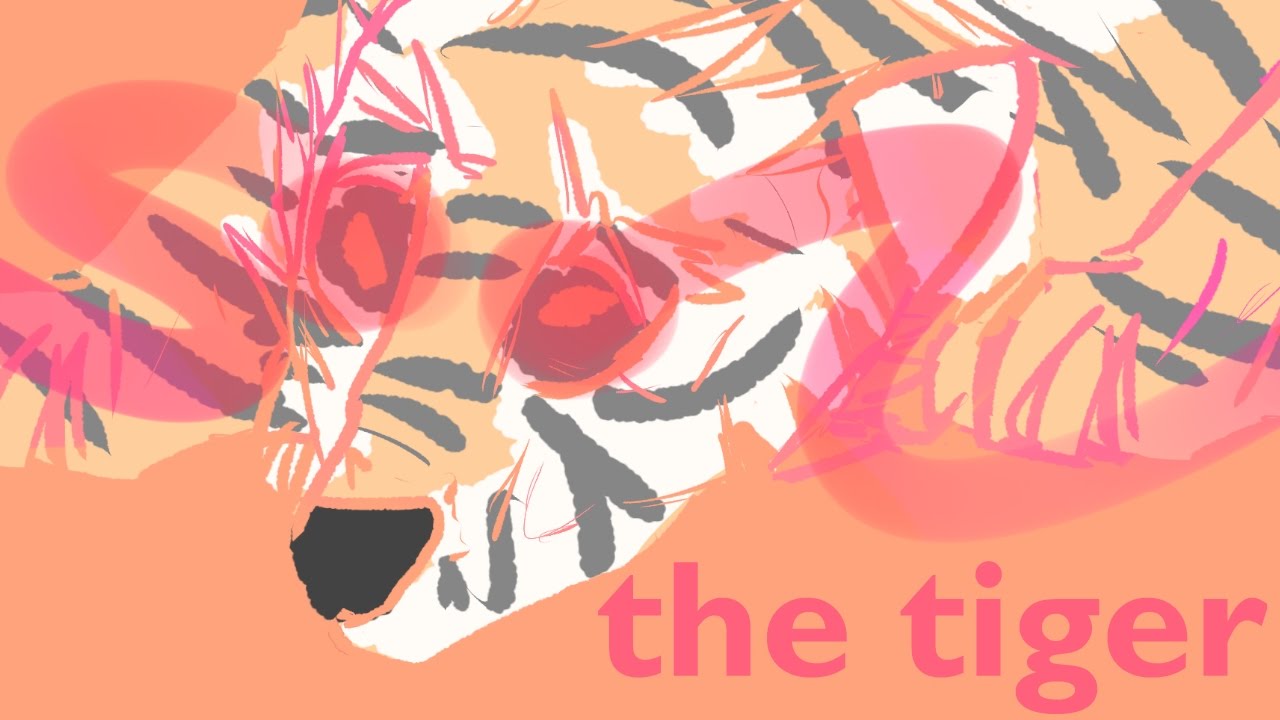 the tiger