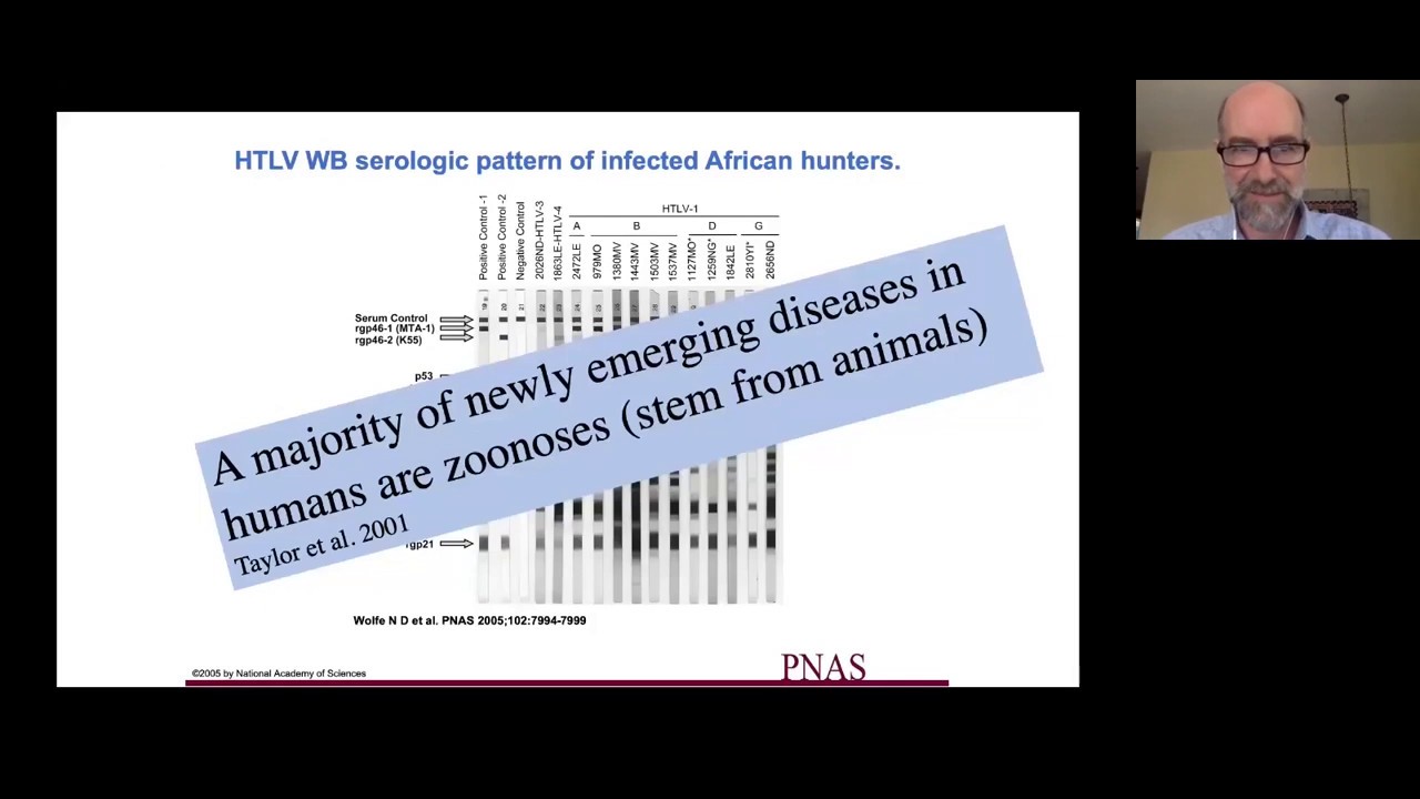 Preventing the Next Pandemic: Urgency for Planetary Health Approach
