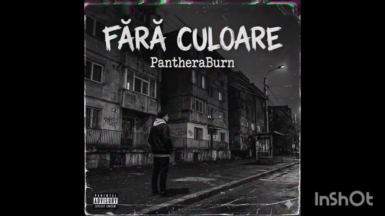 PantheraBurn -Fara culoare ( Official Audio ) 