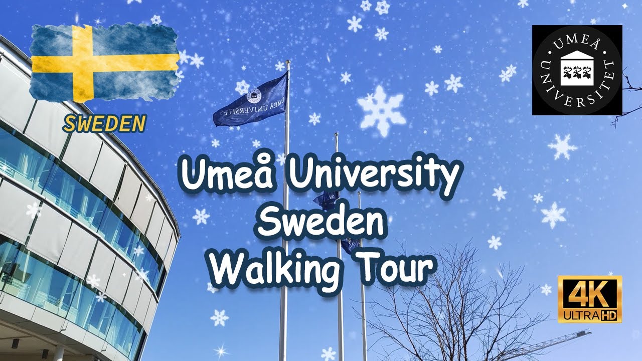 Walking tour in Ume&aring; University, Sweden | Spring 2023 | Study in Sweden | Umea Campus Tour
