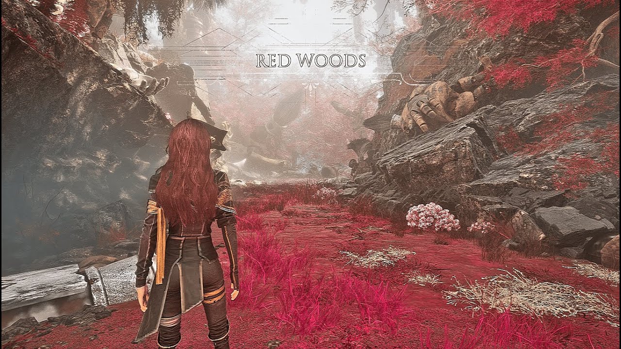 Red Woods - Expedition 33 — 1 hour of relaxing ambient music
