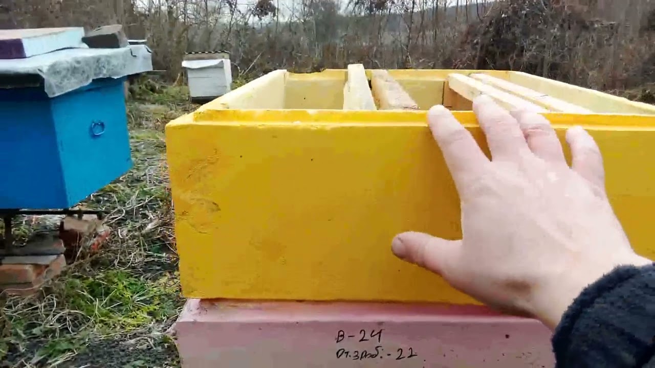 Двоматочне утримання бджолиних сімей