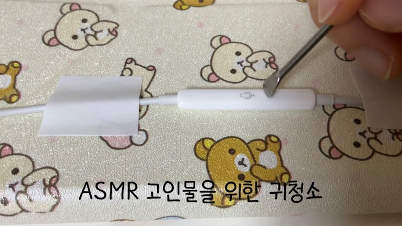 ASMR 고인물을 위한 귀청소