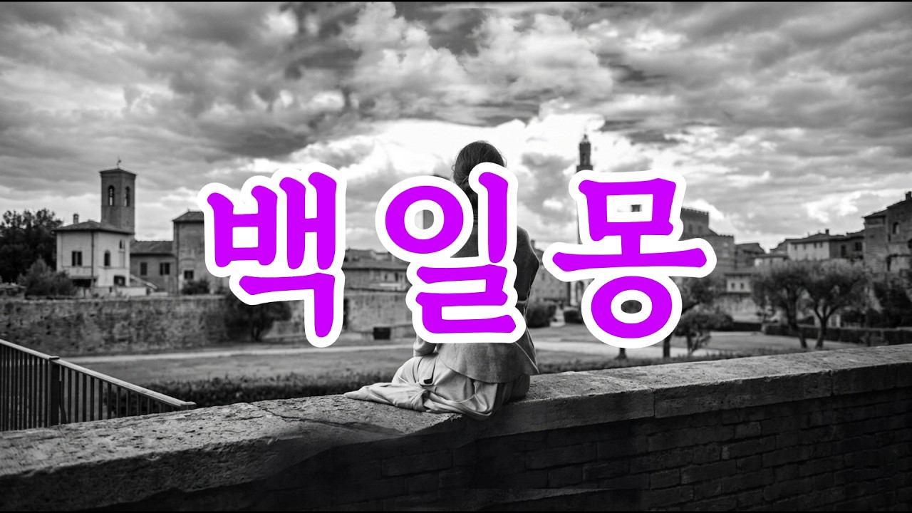 낮고 따뜻한 음색 🎸 으로 흐르는 어쿠스틱  감성 팝 🎺 nayunnply