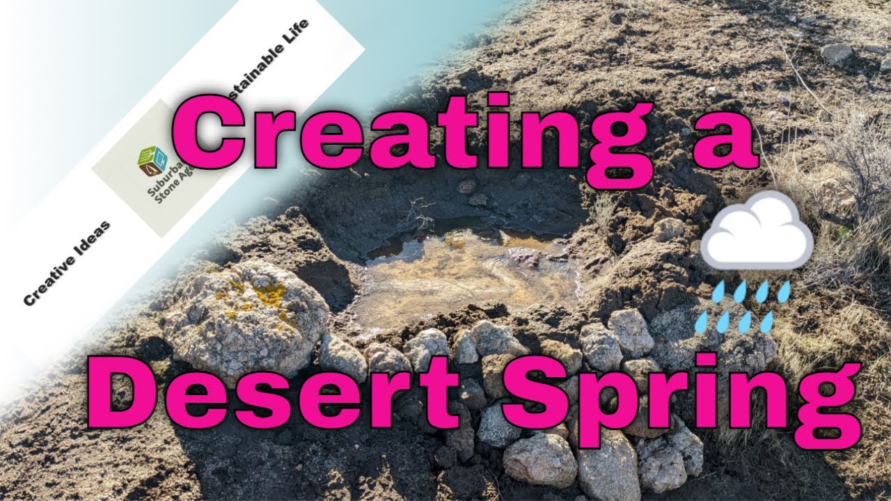 You Bought Vacant Desert Land, Now What?! - S3E2 Creating a New Spring