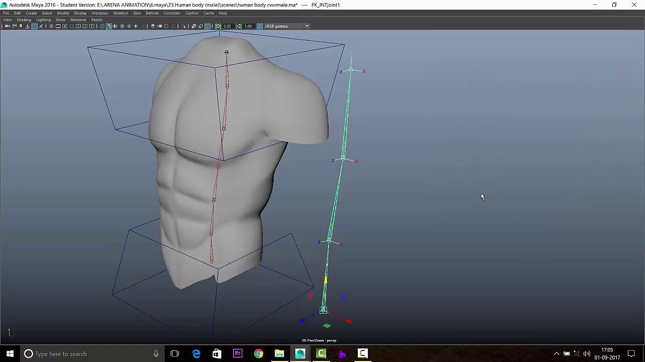 spine rig ik fk