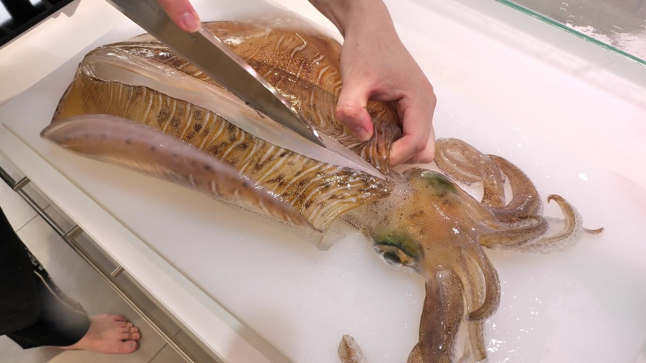 【活け造り】イカはこの食べ方が一番うまい。まだ生きてるイカを素早くさばきます。