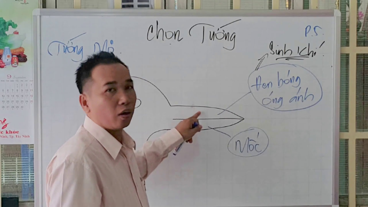 CHỌN CU MỒI HAY THEO QUAN ĐIỂM CỦA HỒNG SÂM . Phần 5
