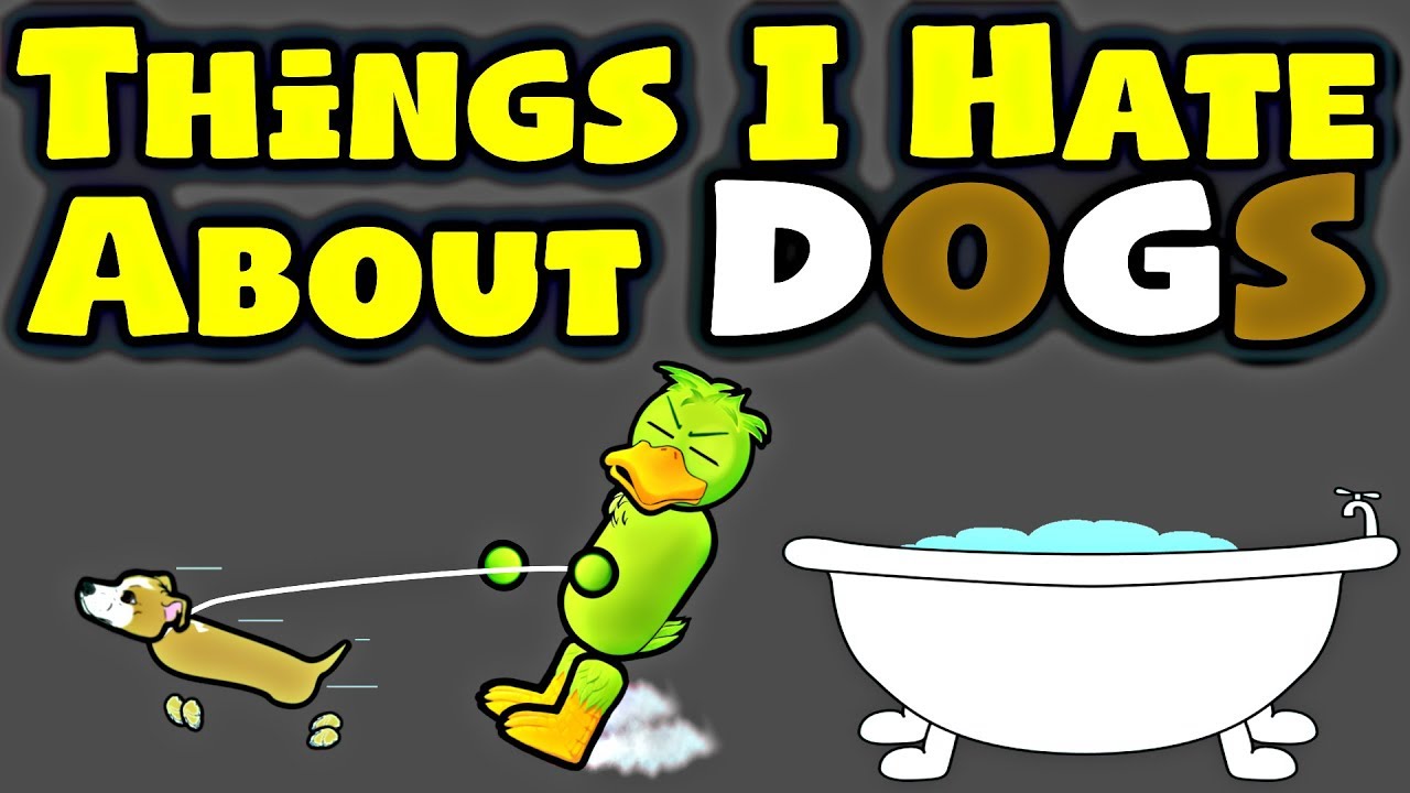 Things I Hate About Dogs (As A Dog Owner)
