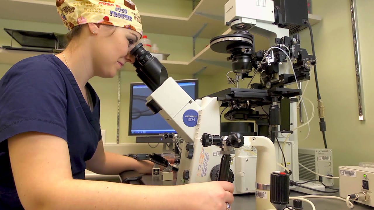 Megan Dufton:  Embryologist