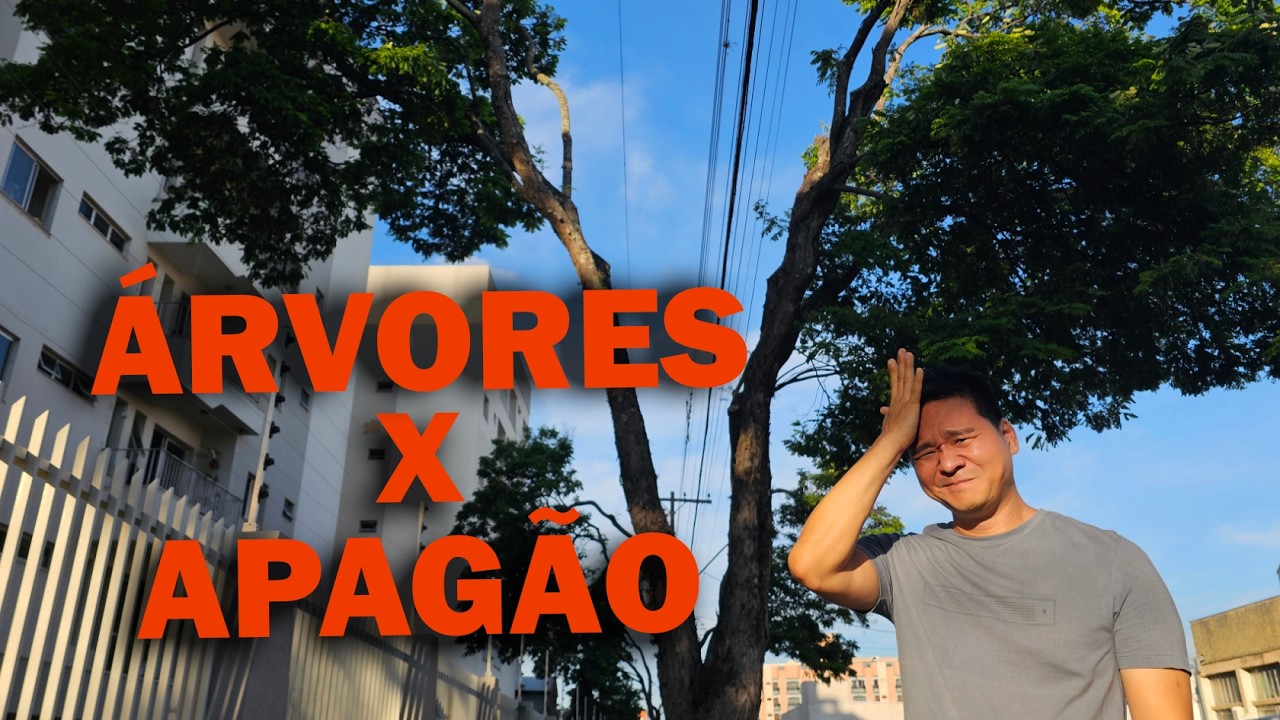 Por que as ÁRVORES estão apagando a sua cidade?