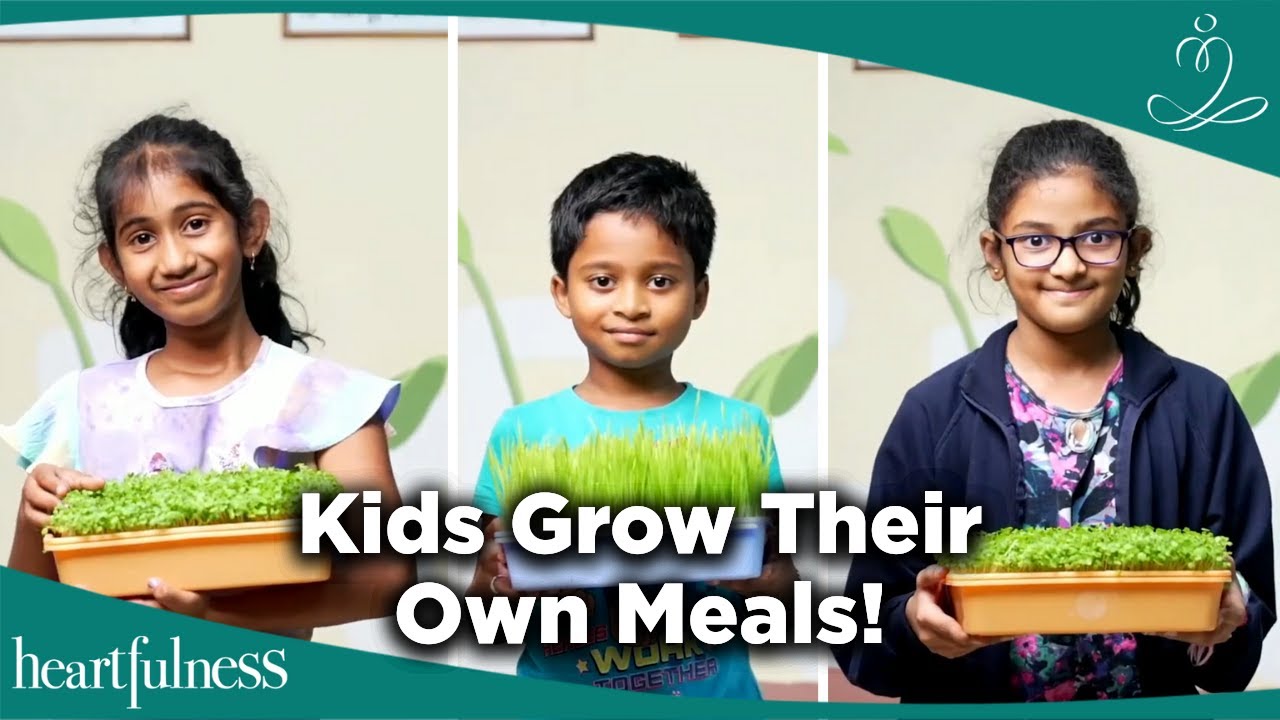 A School That Teaches Sustainability | Kanha Shanti Vanam