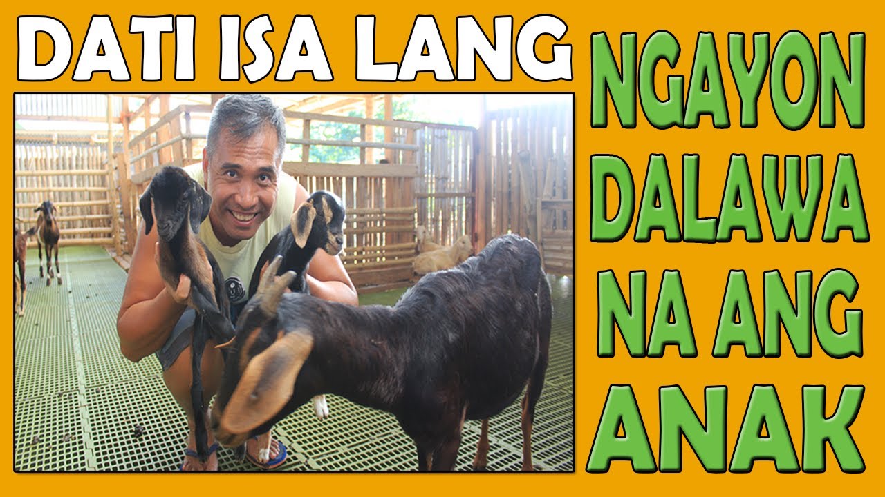 DATI ISA LANG LAGI ANG ANAK -- NGAYON DALAWA NA! [ PWEDE MO RING GAWIN ]