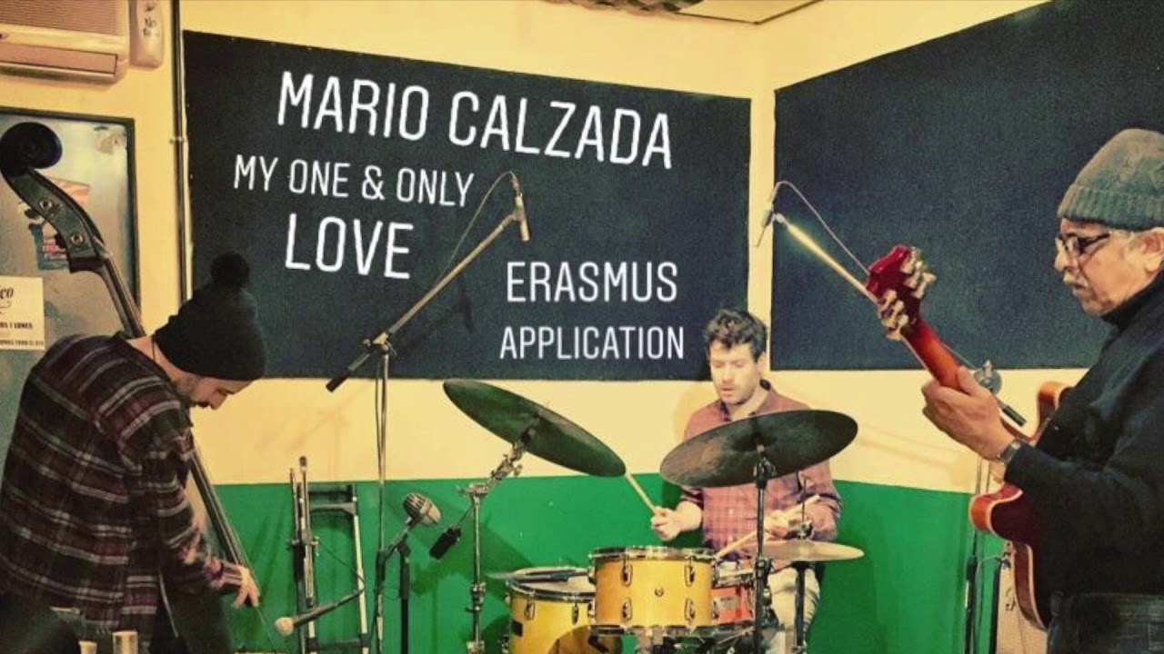 Mario Calzada -  Erasmus Application