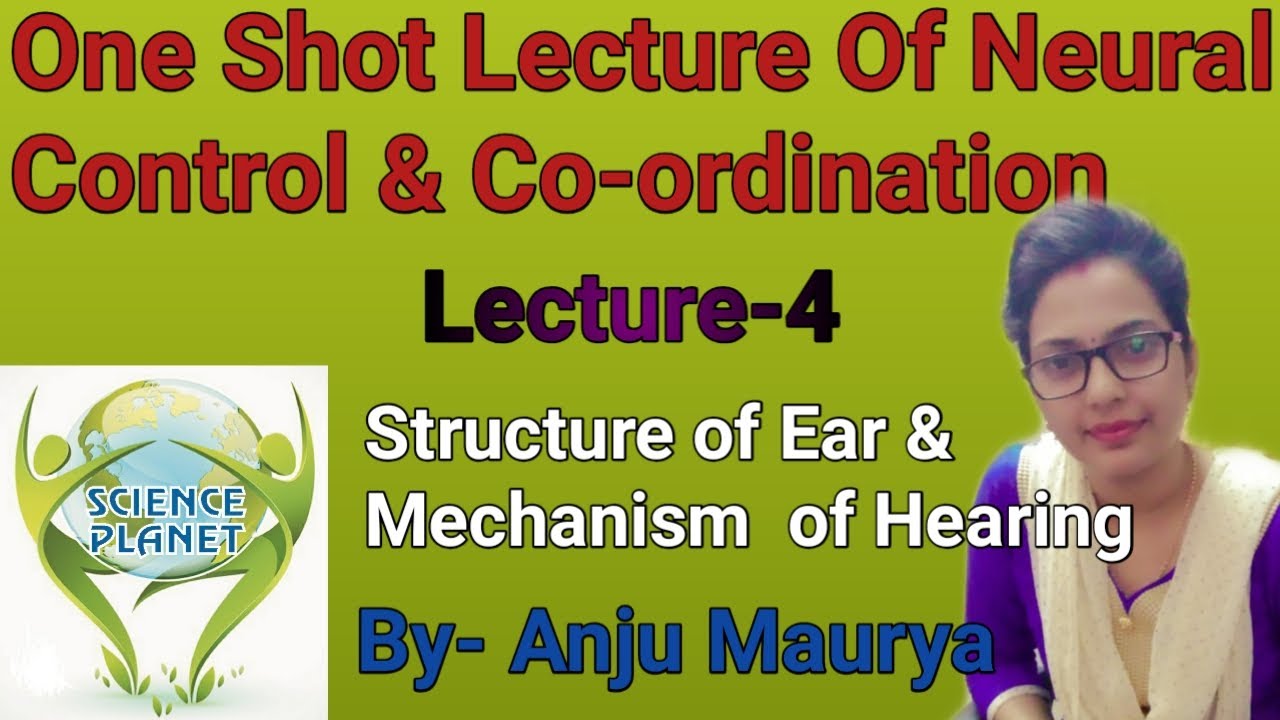 One shot Lecture of structure of Ear and Mechanism of Hearing! By- Anju Maurya