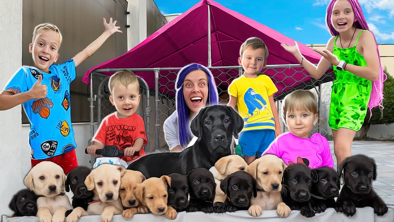 🏠 CĂSUȚA pentru Cățeluși este GATA 🐕‍🦺 ICE va avea PUI ❓