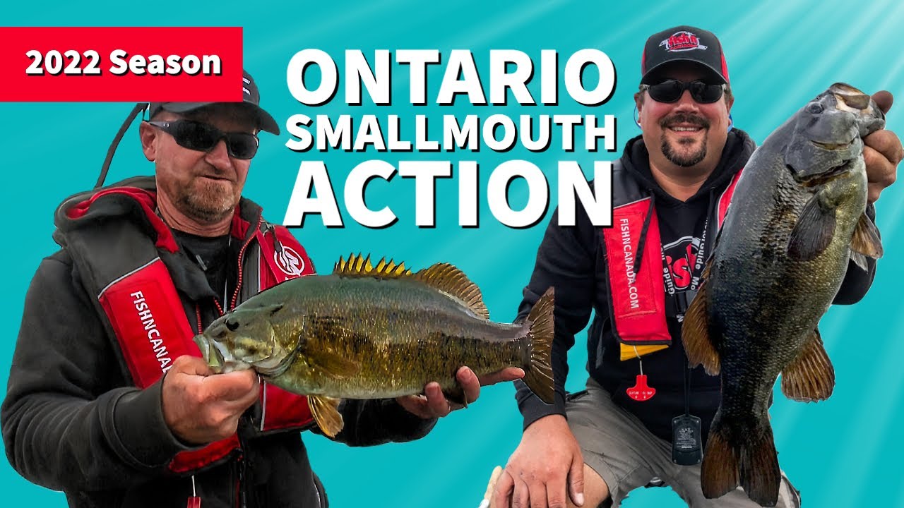Slow and Steady Smallmouth