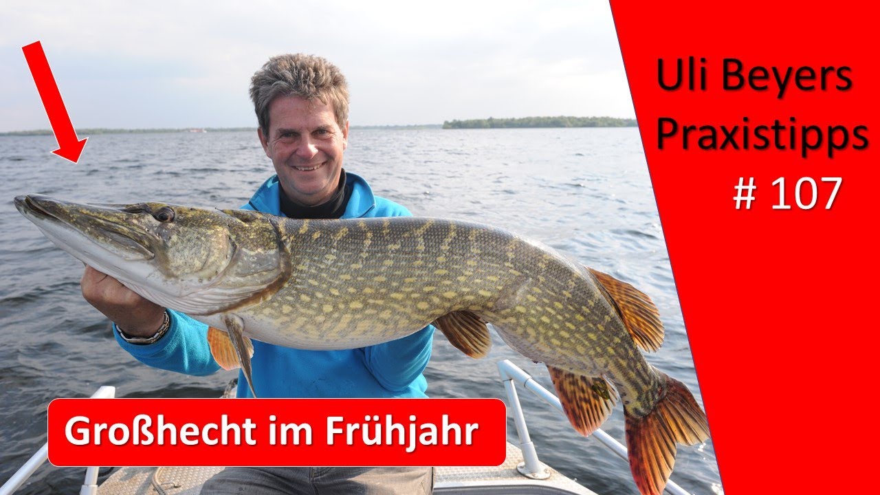 Spinnfischen auf Hecht: Großhecht im Frühjahr