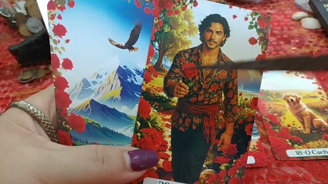 LEÃO ♌ 27/02/26 🦋🌟TUDO SE RESOLVE EM UMA SIMPLES CONVERSA.😇 TA CHEGANDO ALGUÉM DE LONGE.