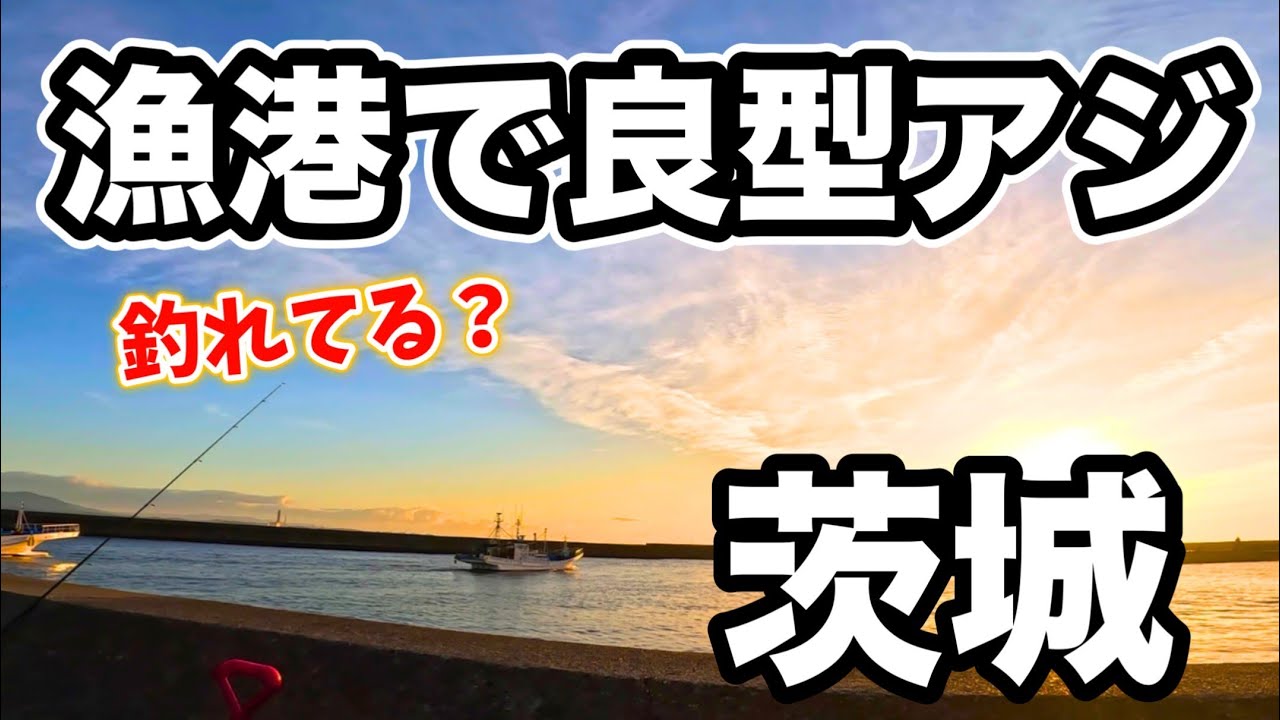 茨城県 アジは釣れてる？ 2ヶ月ぶりの漁港で釣りしてみた結果