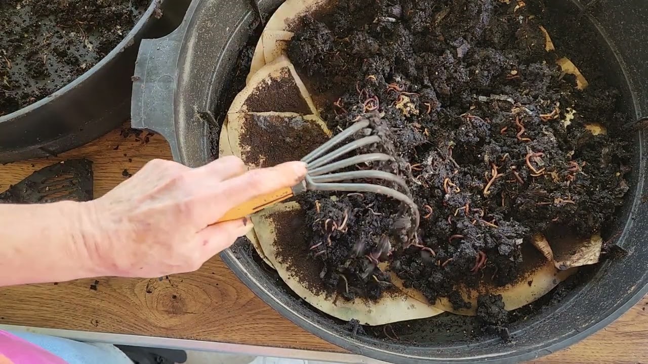 Detailed - Can-O-Worms Harvest 🪱