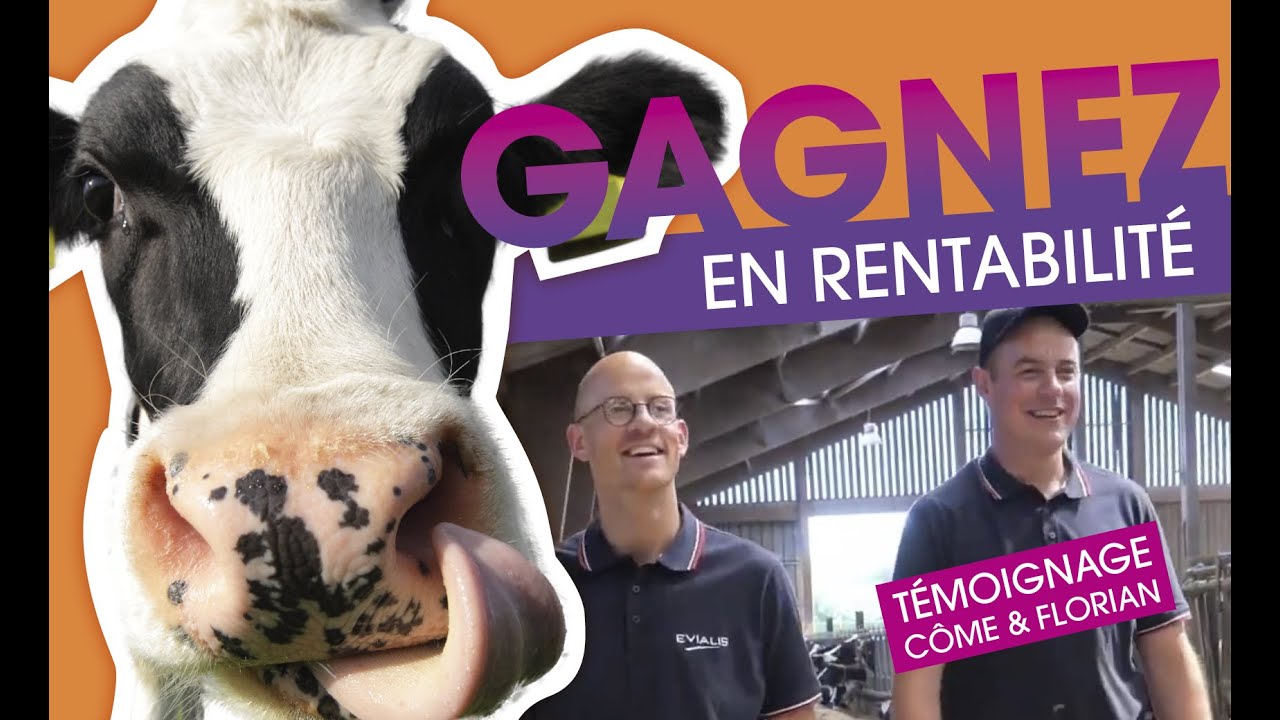 Témoignage GAEC du Bimorel, Eleveurs de vaches laitières