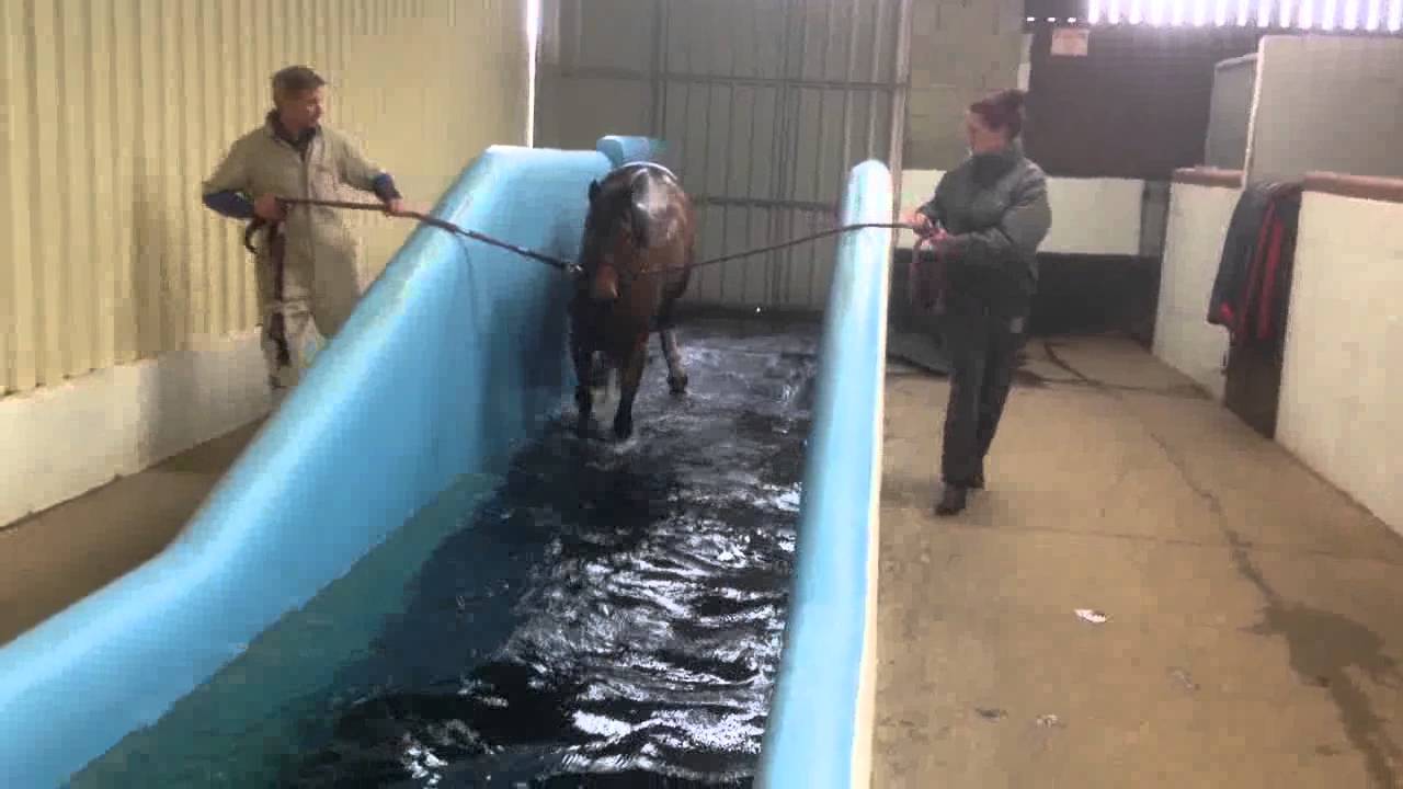 Arden Equine Pool