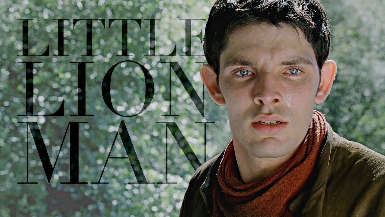 Merlin | Little Lion Man