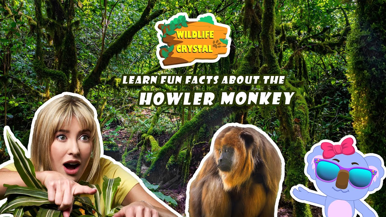 Howler Monkey Facts