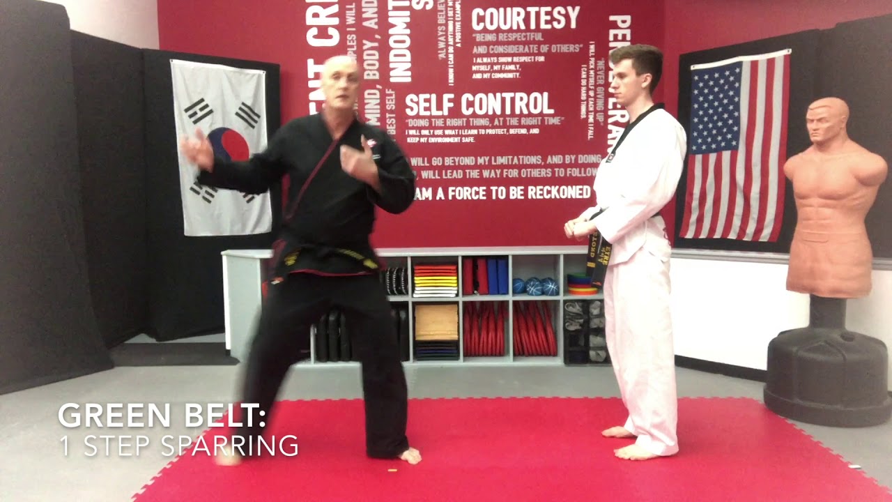 Techniques - Green Belt: 1 Step Sparring