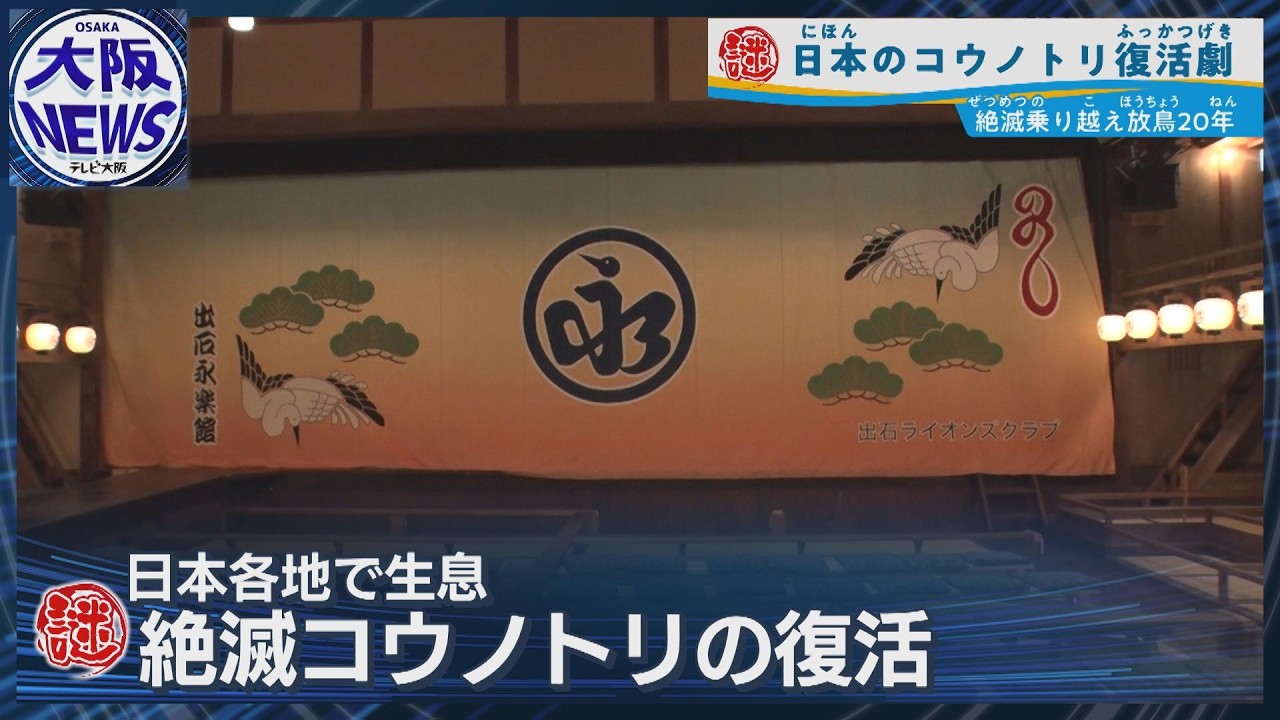映画『国宝』ロケ地で「コウノトリ」復活【兵庫県豊岡市の象徴】「出石永楽館」緞帳もコウノトリ