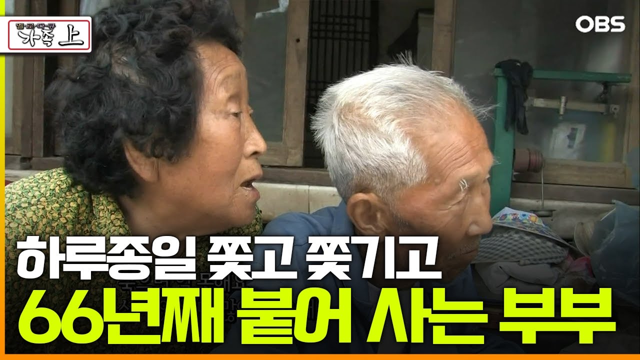 [다큐 ‘가족’ 30회 上] 하루종일 쫓고 쫓기고 66년째 붙어 사는 부부