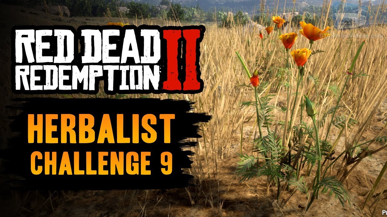 Red Dead Redemption 2 Herbalist Challenge #9 Guide - Pick one of each species of herb