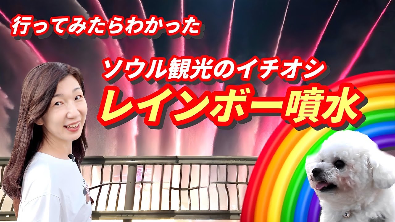 月光レインボー噴水に行ったら色々わかった/漢江ラーメンが売ってないコンビニにガッカリ、でも大満足な噴水ショーを体験したよ/秋のソウルのリベンジ企画/明洞駅から1回のりかえるだけ/50代夫婦の서울旅