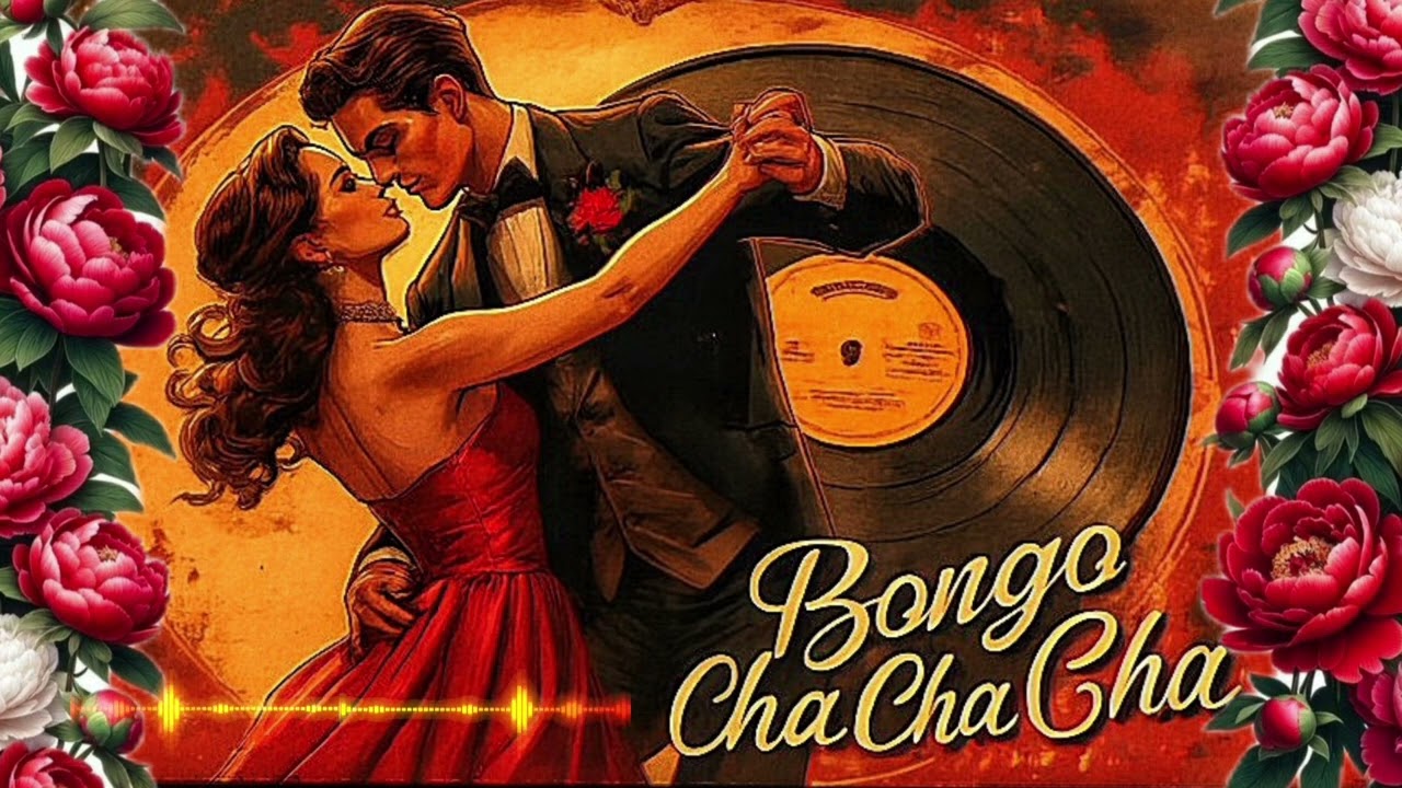 MIDNIGHT SERENADE❤️🔥💃🏼| Bongo Cha-Cha-Cha Latin Instrumental