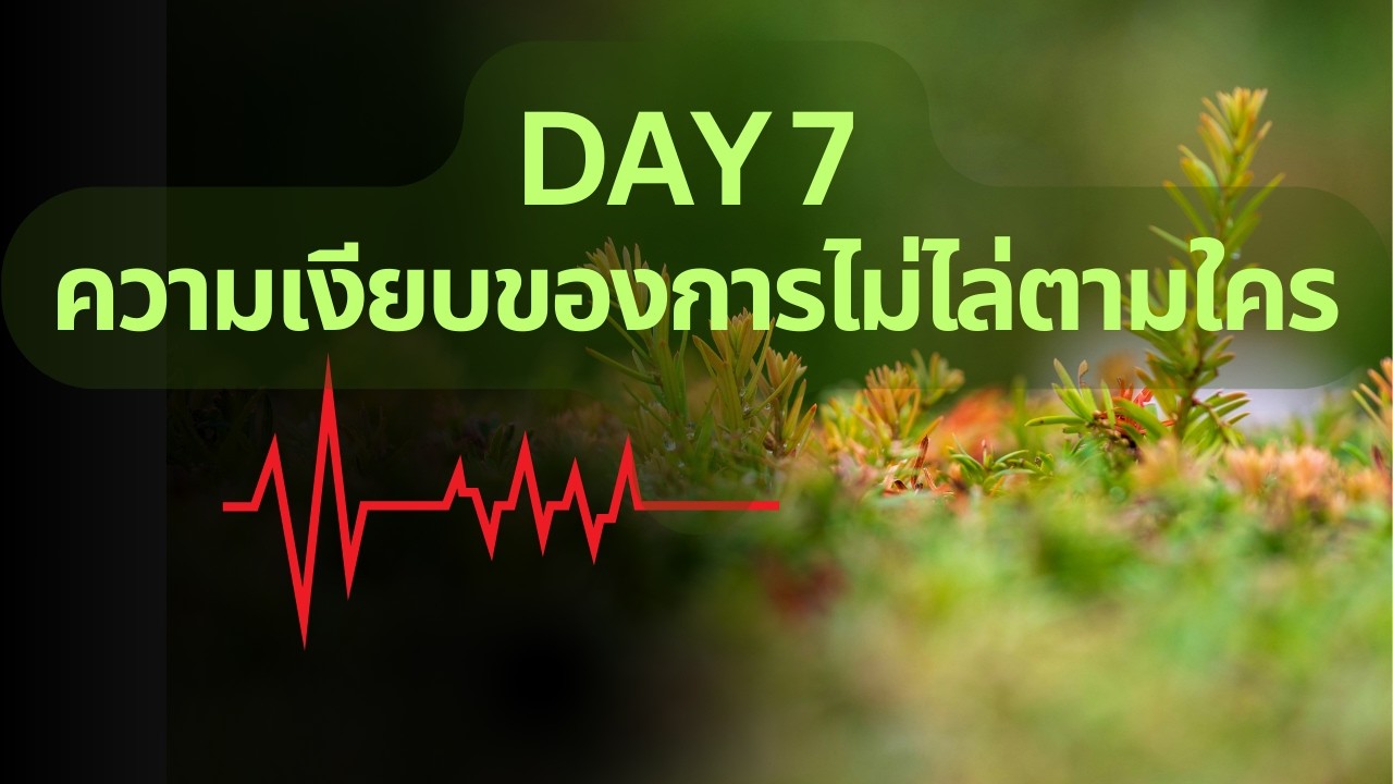Day 7 – ความเงียบของการไม่ไล่ตามใคร