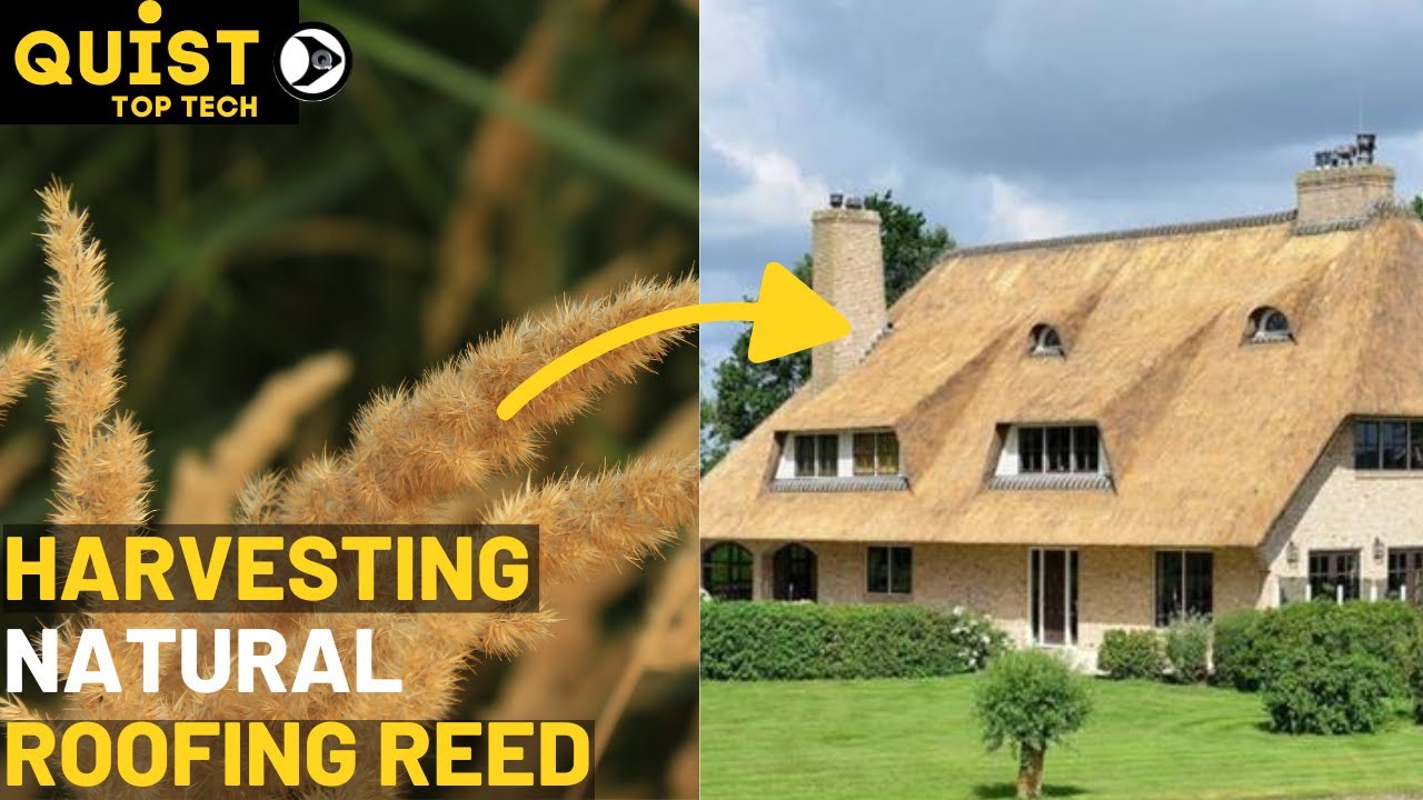 SURPRISINGLY  NEW  MILLION DOLLAR THATCHED ROOFING HOMES