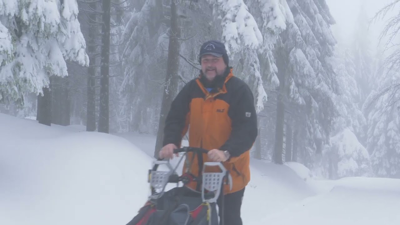 Šediváčkův long 2018. Dog sled race in the Czech Republic.