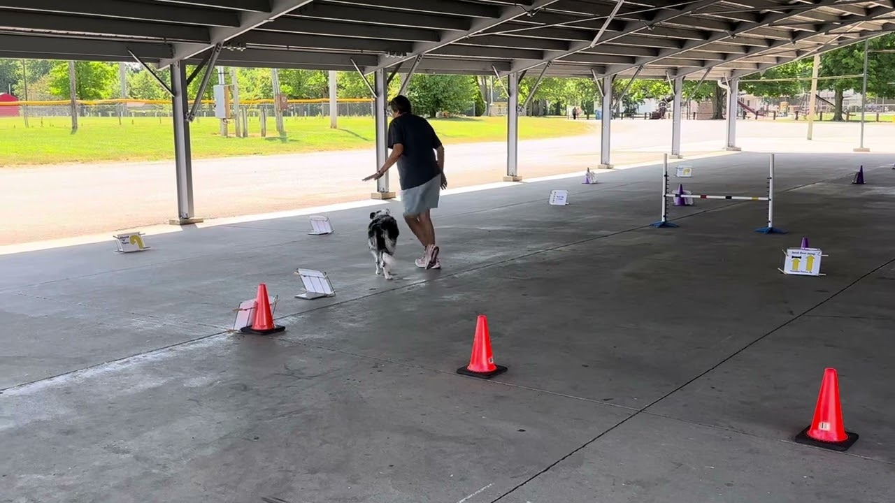 AKC Rally Excellent Course #4