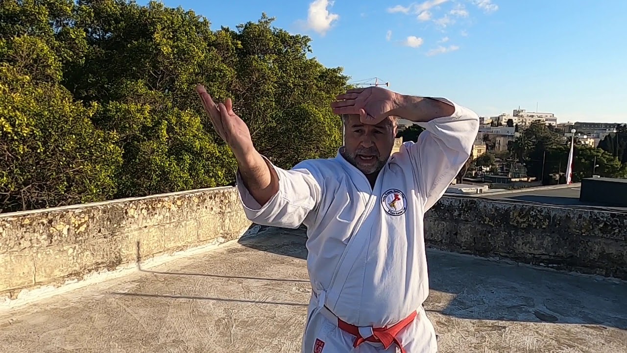 HEIAN YONDAN   (step by step)