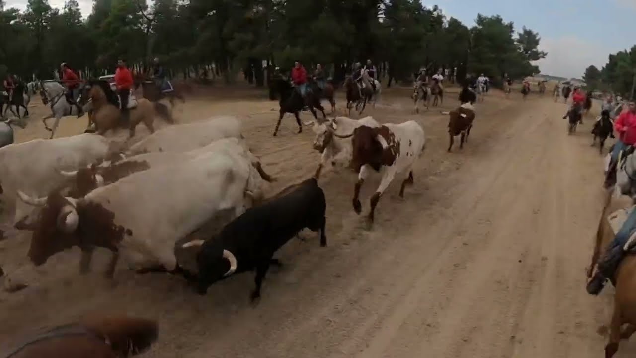 ENCIERRO NAVA SABADO 2024