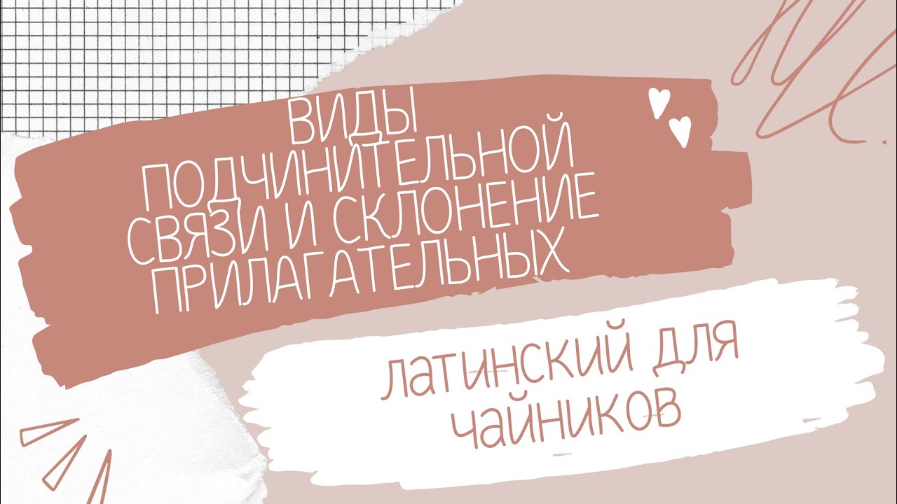 Виды подчинительной связи и склонение прилагательных | латинский для чайников 3
