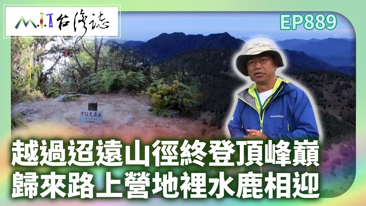 越過迢遠山徑終登頂峰巔 歸來路上營地裡水鹿相迎｜臺東縣海端鄉 麥覺明【@ctvmit889集】