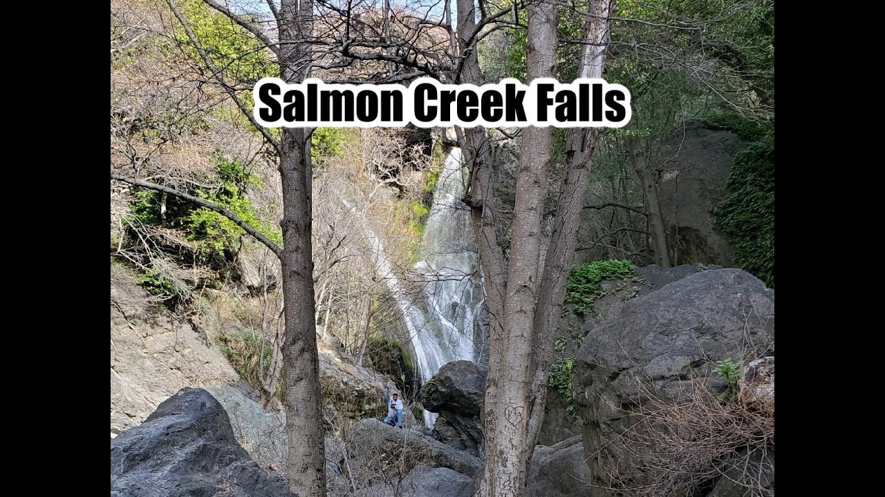 Salmon Creek Falls