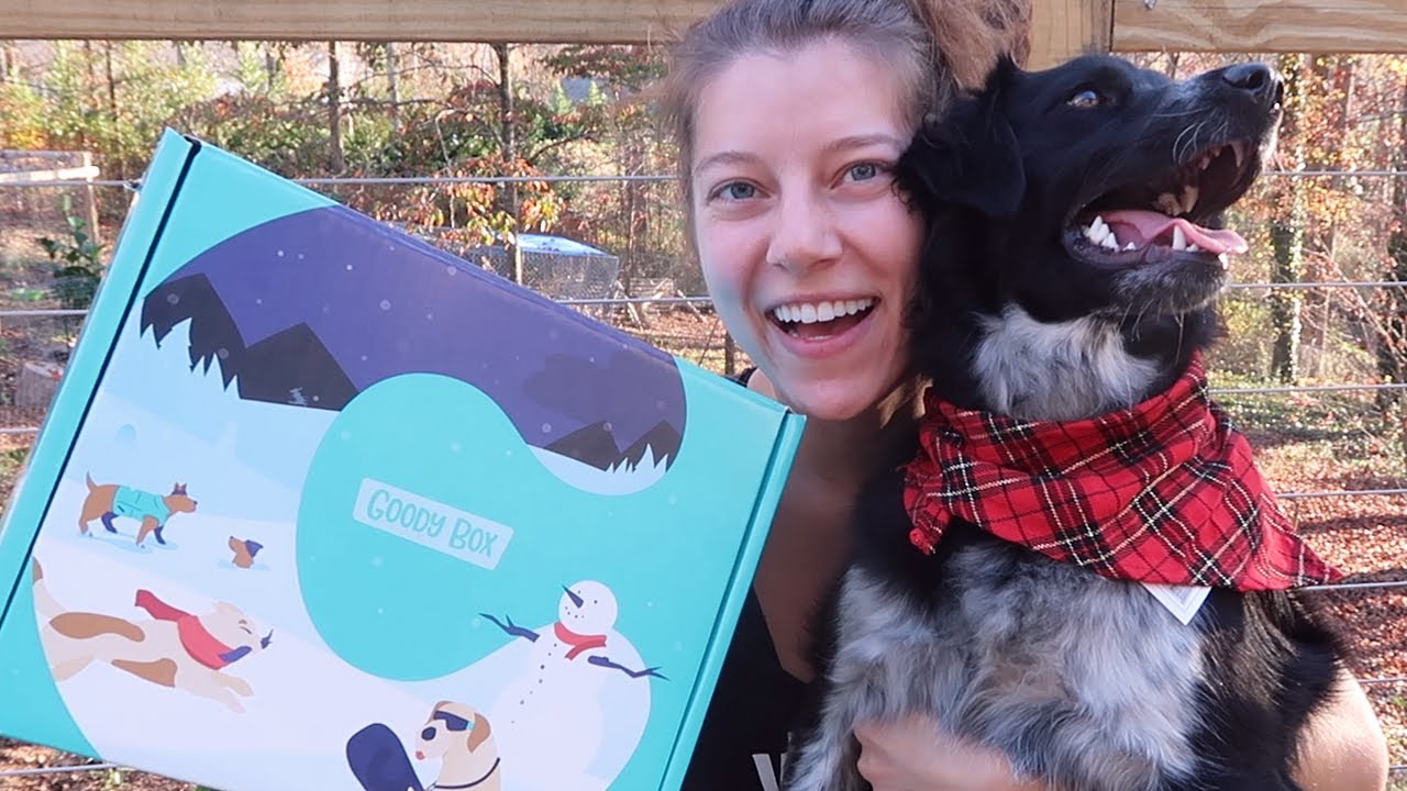 Goody Box Winter Wonder Box For Large Dogs from Chewy! | Ohcluck