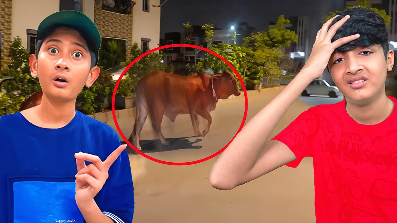 Vampire ki Cow bagh gi!