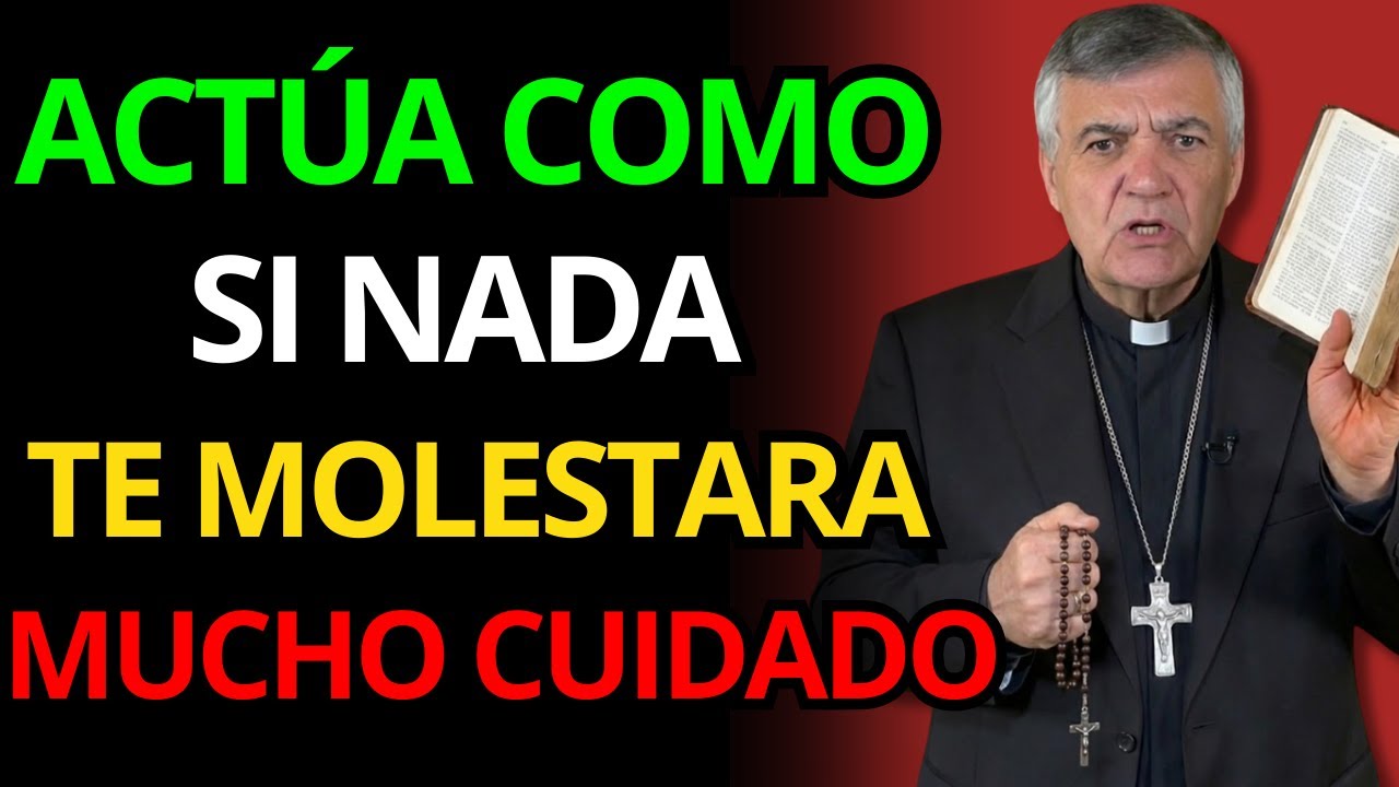 ¿PIERDES LA PAZ FÁCILMENTE? CUIDADO, EL ENEMIGO YA TE HA DESARMADO | Padre Santiago Martín
