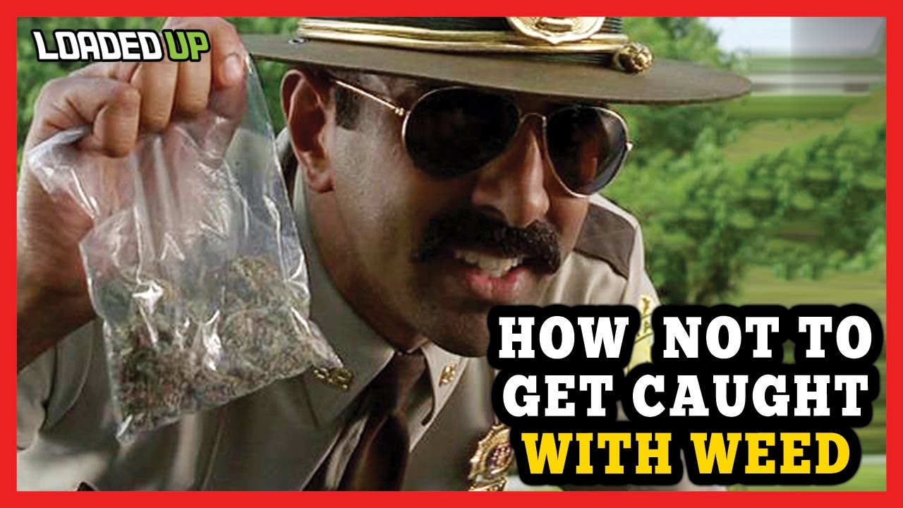 Weed Code How Not To Get Caught With Weed