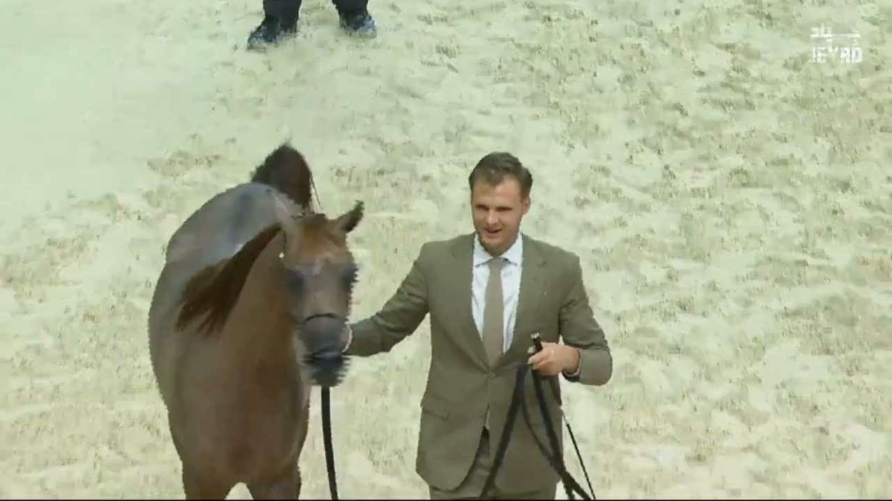 KIBRIT AL SHAQAB